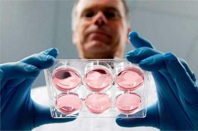 日本试管婴儿技术，到底能不能支持性别筛选？