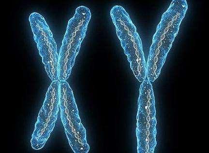 13号染色体异常，是什么原因导致的？