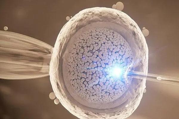 试管婴儿受精失败怎么补救？需要注意什么？