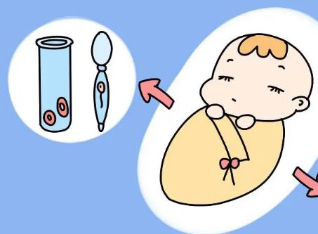2023泰国支持单身女性做试管婴儿吗？