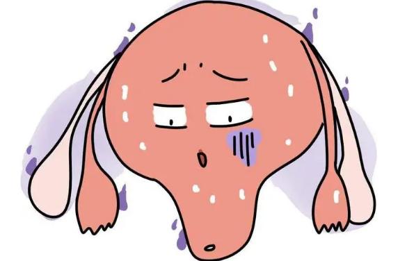 子宫内膜偏厚的女性可以选择鲜胚移植吗？