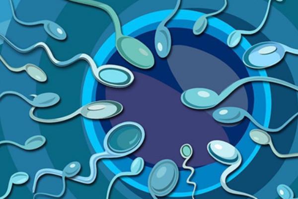 2023年去美国做供精试管助孕要多少钱？贵不贵？