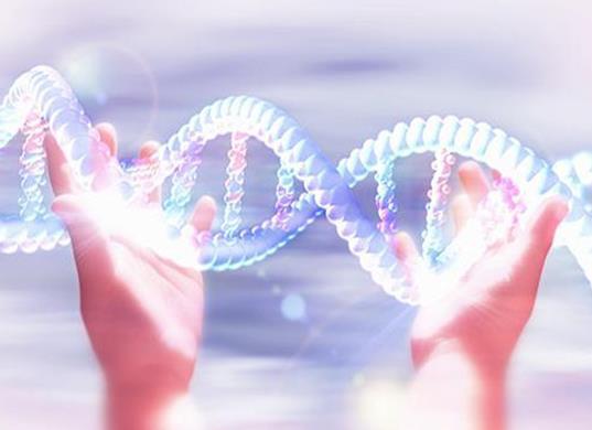 在深圳最好的医院做试管婴儿，一共要多少钱？