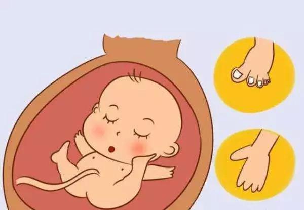 怎么备孕才能降低胎儿的畸形率?