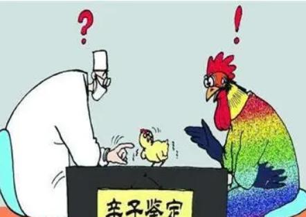 女性在怀孕期间可以做胎儿亲子鉴定吗？