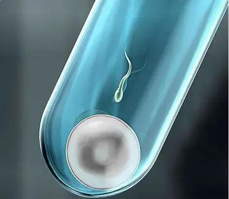 试管一对龙凤胎仅需三万元吗？