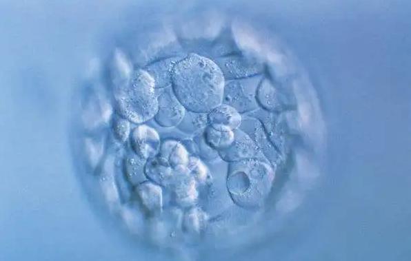 4次生化妊娠还能做试管婴儿吗，成功率多高？