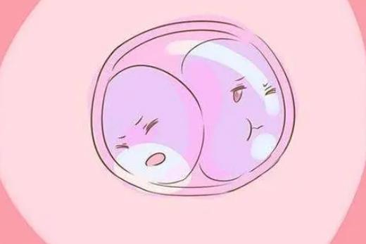 三代试管取完卵下一步流程是干嘛？