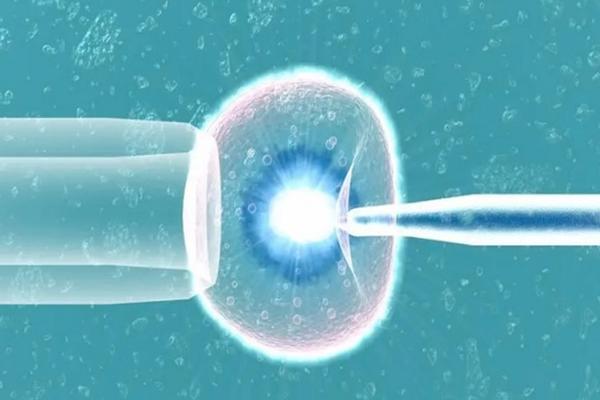 疫情期间，在俄罗斯做第三代试管婴儿的费用变了吗？