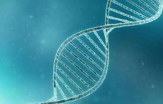 胚胎停育人流后，等多久可以再备孕？