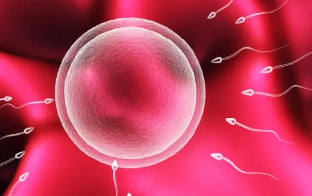 42岁怀孕宝宝患畸形的风险很高,做三代试管婴儿成功率是多少?