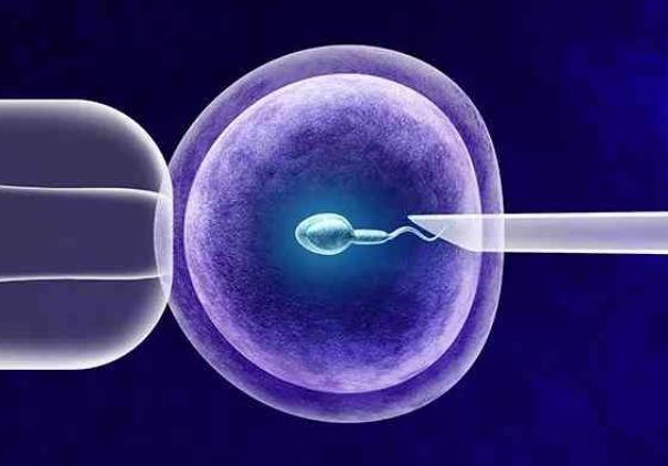 2023省中医试管婴儿成功率有多少？