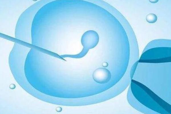 2023年在武汉正规生殖医院,做试管婴儿的成功率怎么样?