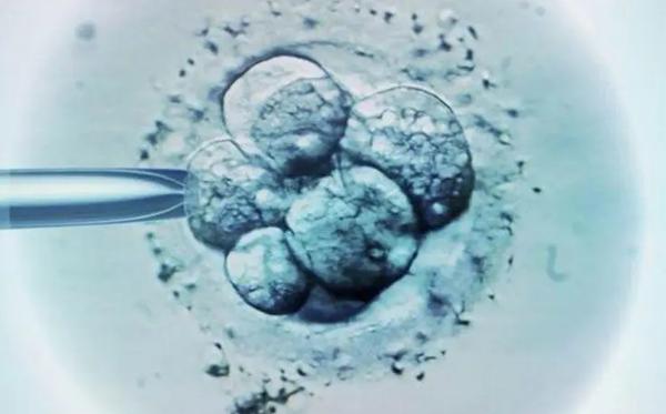 用冷冻保存了三年的卵子做试管生下来的孩子的寿命有影响吗？