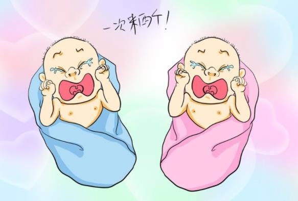 移植两个囊胚可以提高生双胞胎的几率吗？