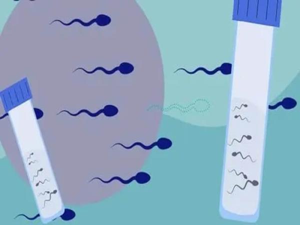 济南山大生殖医学中心输卵管结核治疗并进行试管婴儿的费用是多少?