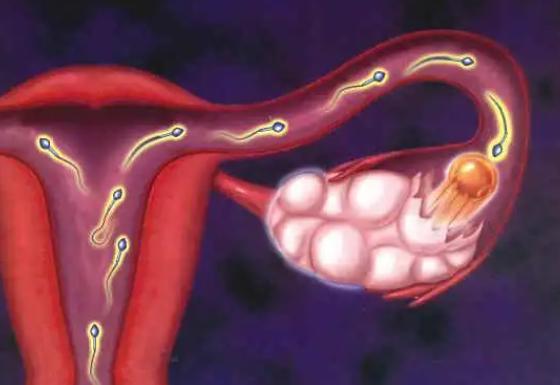 精子质量不高去俄罗斯做试管婴儿需要办理签证手续吗?