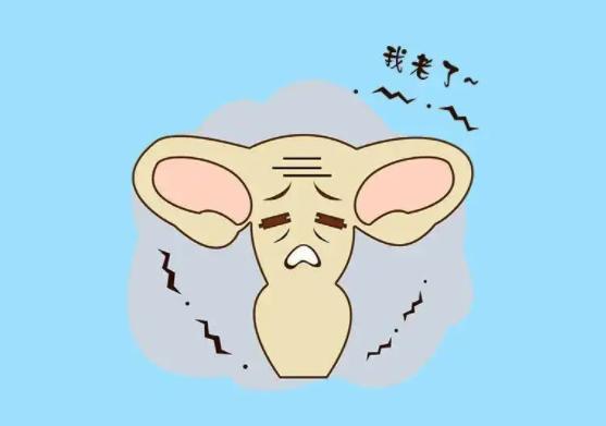 惯性流产美国三代试管婴儿会选择什么促排方案?