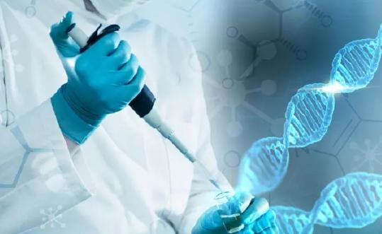 高孕酮血症去格鲁吉亚做三代试管助孕能不能成功?