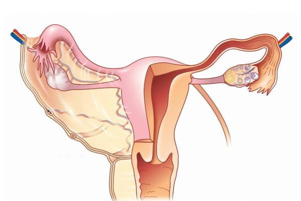 右侧输卵管粘连试管移植后受孕的几率大吗？
