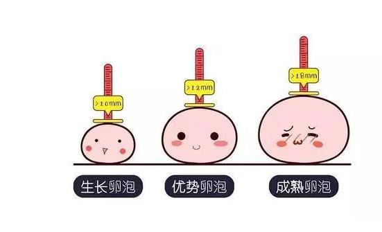 卵泡偏小去马来西亚做试管婴儿会成功吗?