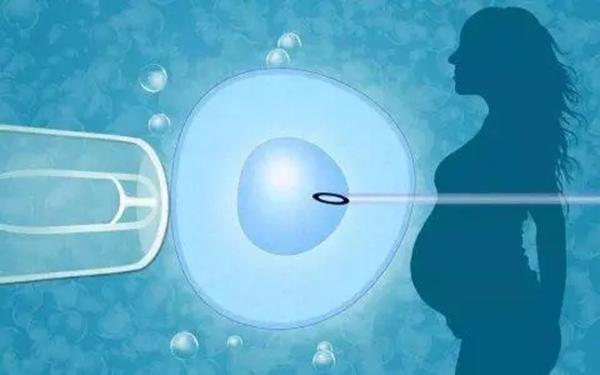 高龄卵巢发育不成熟患者试管鲜胚移植更易成功还是囊胚?