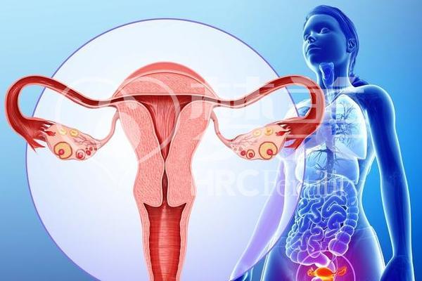 宫颈息肉去美国做三代试管要多长时间？