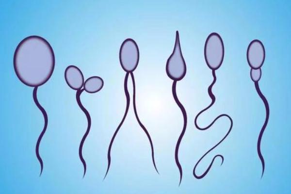 精子质量不高武汉做试管婴儿有没有包成功套餐?