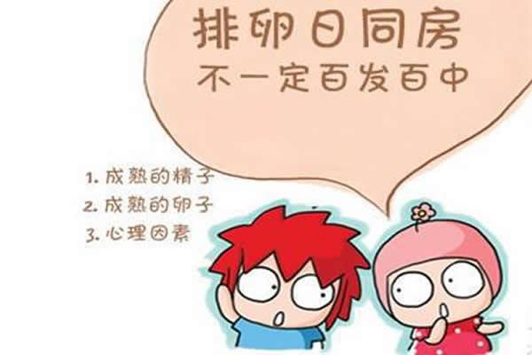 有卵泡不排卵在香港医院做三代试管婴儿选性别多少钱?