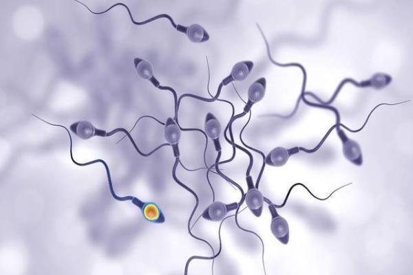 少精症做试管婴儿用超长方案促排流程步骤是什么？