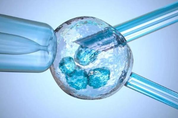 马来西亚是否允许单身前往该国进行试管技术？