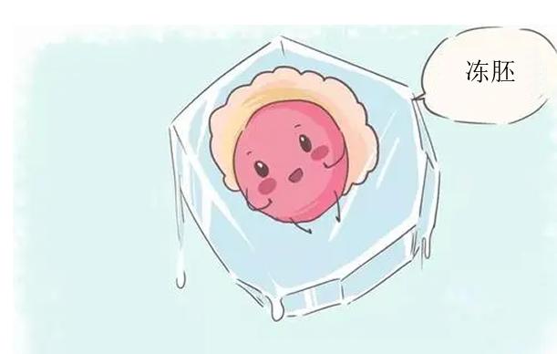 试管婴儿选用鲜胚还是冻胚比较划算?