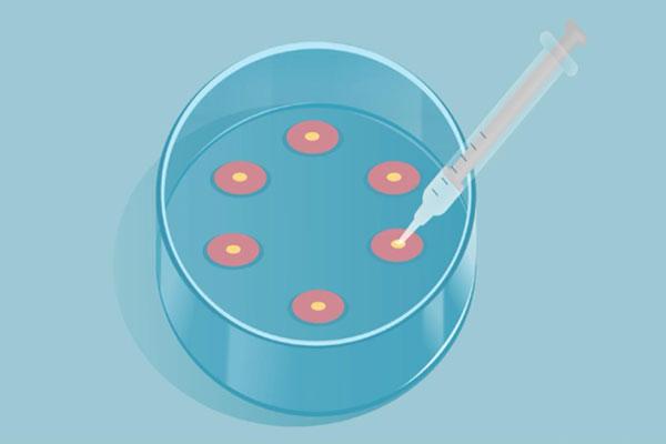 试管婴儿的囊胚形状是否都是圆形的？