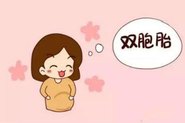 做试管婴儿生出双胞胎的概率大吗？