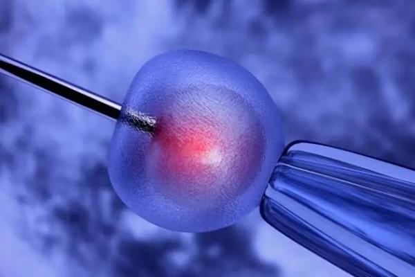 乌克兰的试管婴儿费用具体是多少？