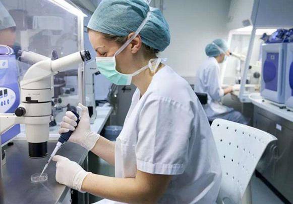 试管移植前如何做好平衡以提高受孕的可能性？