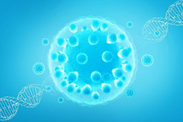 试管婴儿移植一个受精卵会生出双胞胎吗？