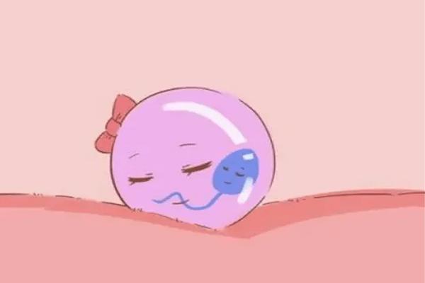 做试管胚胎移植时不打麻药会疼吗？移植时间长吗？