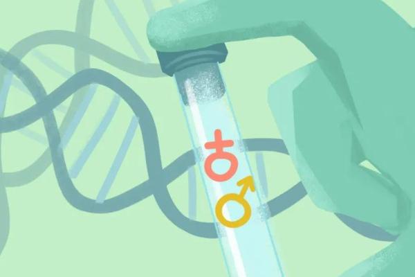 做三代试管婴儿需要花多少钱？价格与什么因素有关？