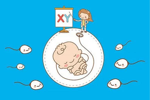 试管婴儿技术能完全避免基因突变吗?