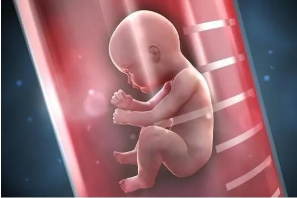 私立机构宣称三代试管包男孩靠谱吗？