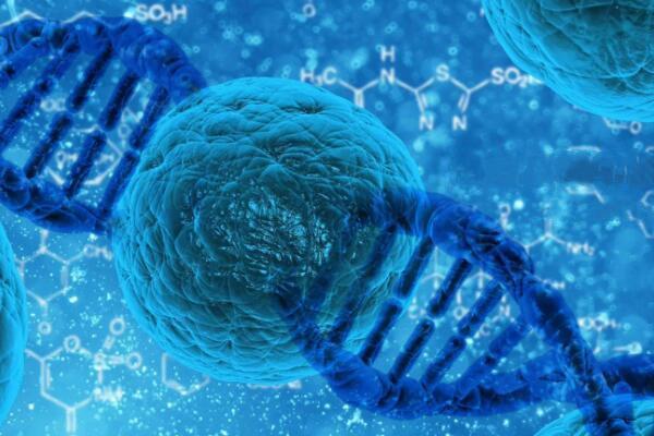 试管婴儿移植不着床需要做免疫检查吗？