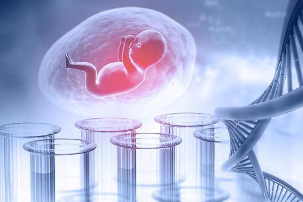 做三代试管为什么不能移植多个胚胎？