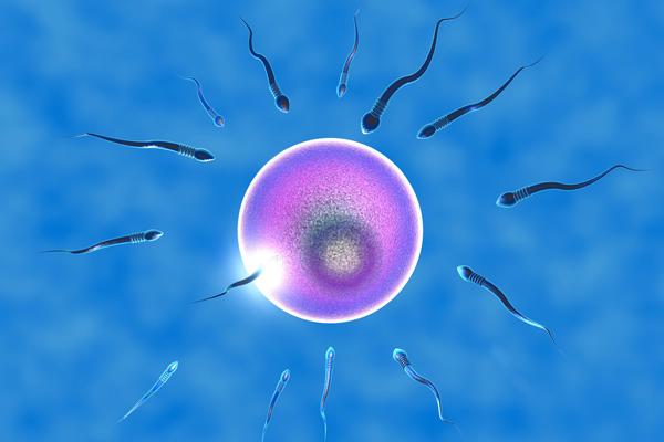 试管婴儿移植不着床跟免疫有关系吗？该如何解决呢？