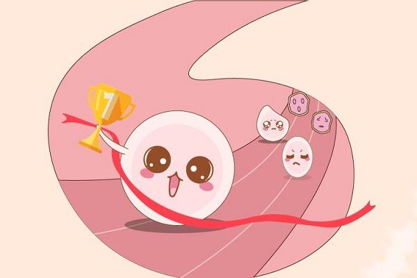 试管婴儿移植冻囊胚除了手术费之外，还需要支付哪些费用？