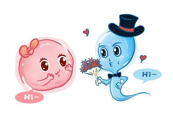 做试管婴儿必须使用冻精吗？鲜精可行吗？