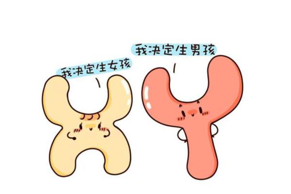 在武汉做三代试管婴儿能选性别吗?