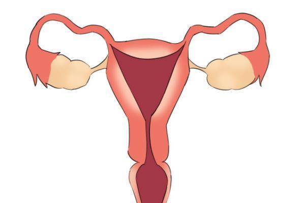 试管移植前如何调理子宫内膜到最佳状态？