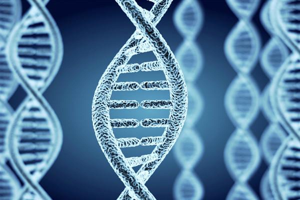如何检测男性精子染色体问题?染色体缺失可以做试管婴儿吗?