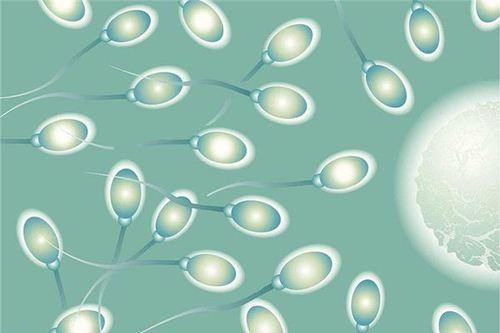 男性患有无精症可以做试管婴儿吗？有没有风险？